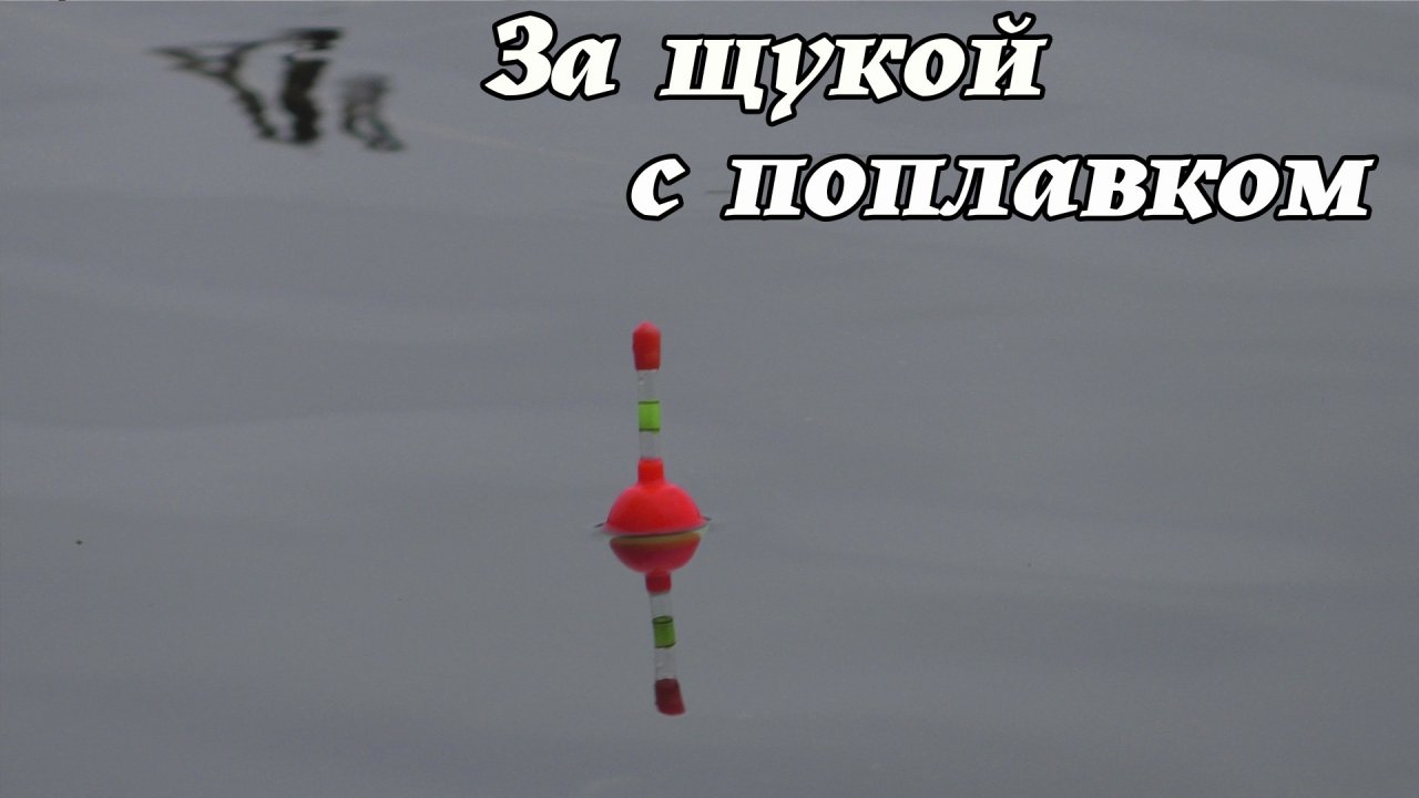 Ловля щуки на живца в ноябре. Рыбалка на поплавок поздней осенью