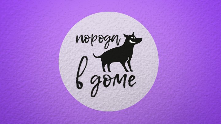 Проект «Порода в доме». 2 серия. Колли. 2023