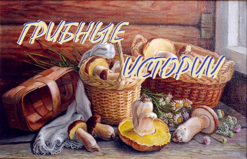 Золотая осень или снова на охоту за грибами.(окт 2022)