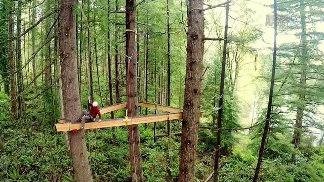 Дома на деревьях 1 серия «Семейный дом на дереве» (документальный сериал, 2015)