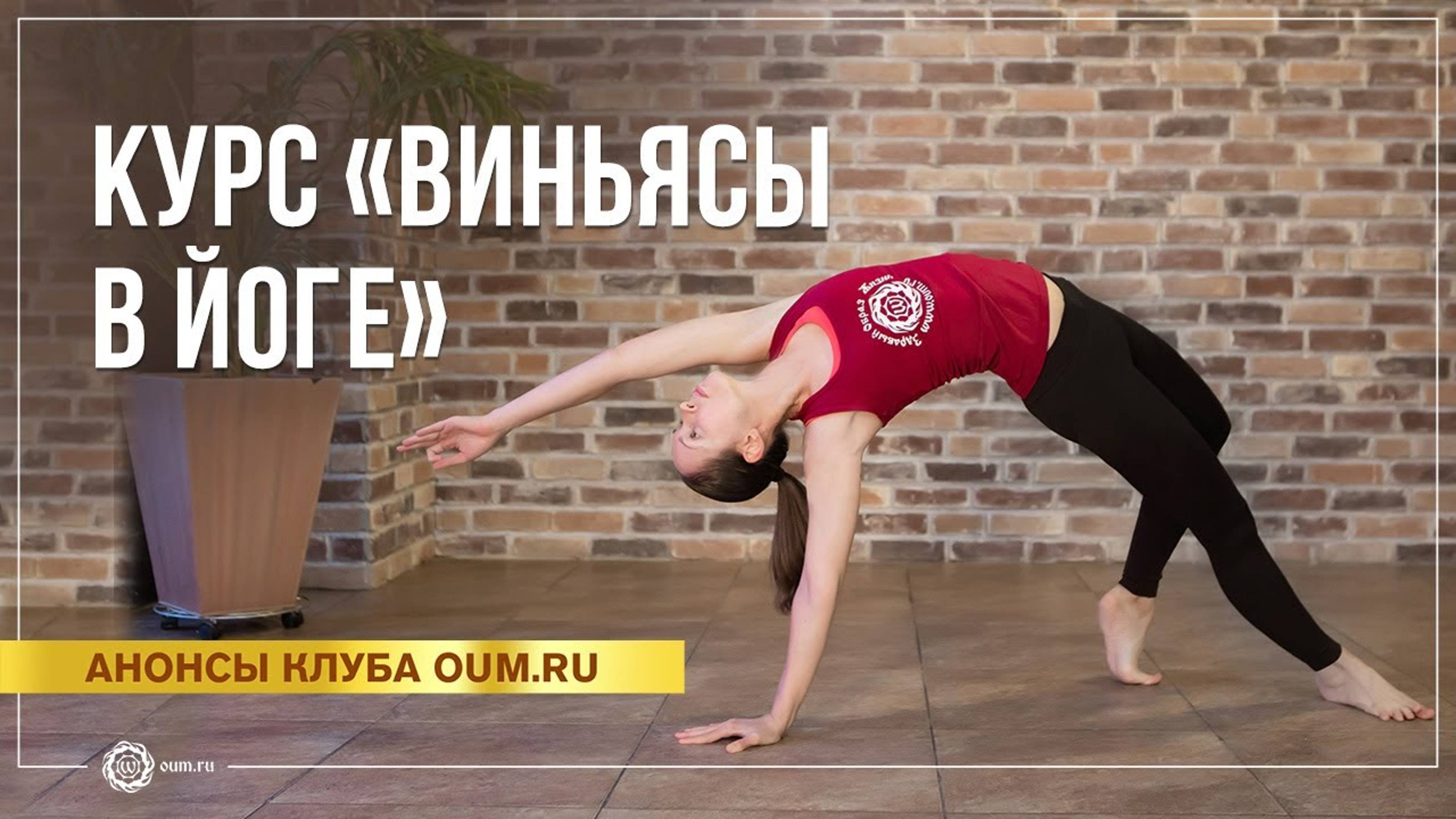 Анонс курса Виньясы в йоге. Екатерина Андросова