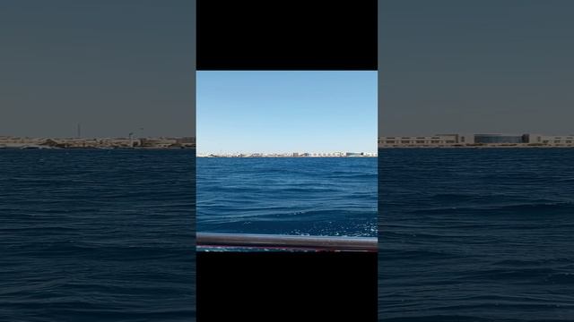 Экскурсия на яхте по Красному морю. Египет. Июль 2023.