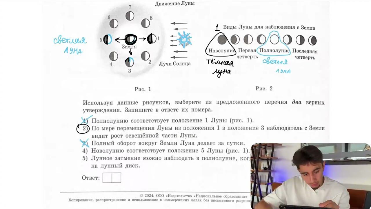 На рисунке 1 представлена схема движения Луны вокруг Земли, а на рисунке 2 -изменение вида - №29098