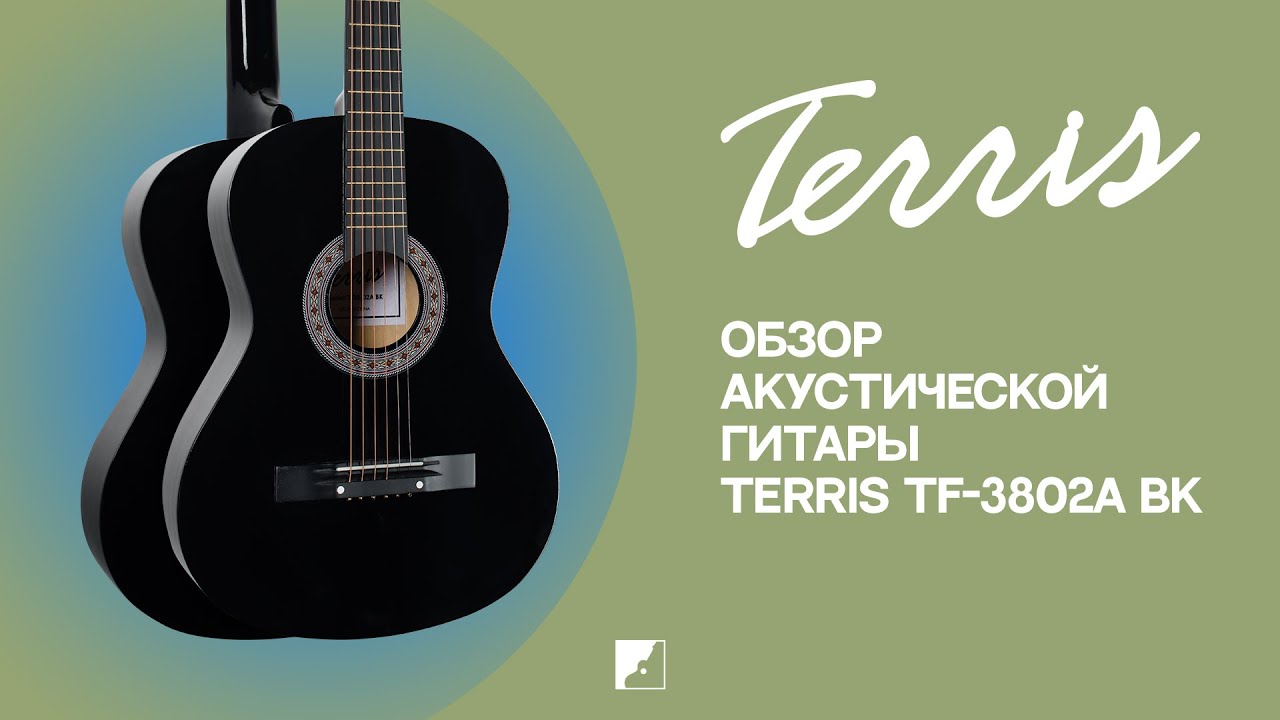 Обзор акустической гитары TERRIS TF-3802A BK