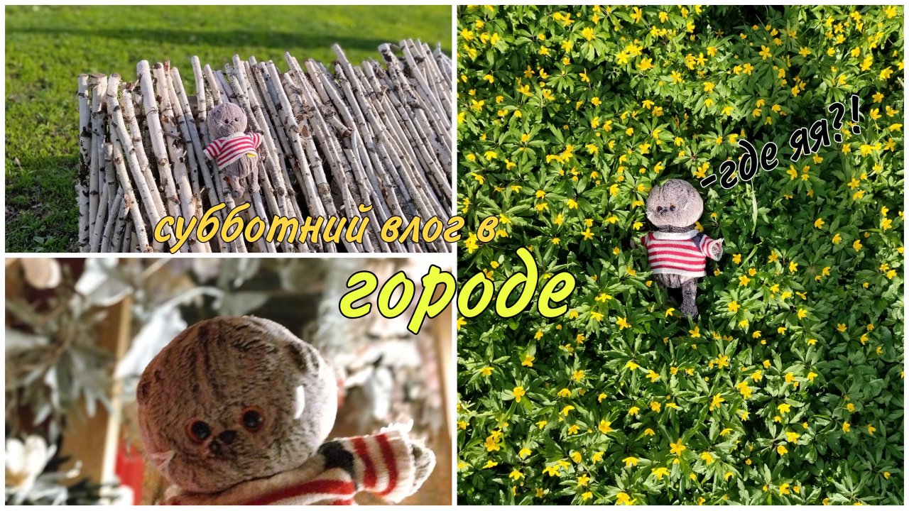 Влог с Мишей в городе! 💗