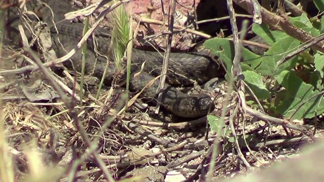 Ноу-хау на рыбалке. Жизнь на Азовском море. Ейск.