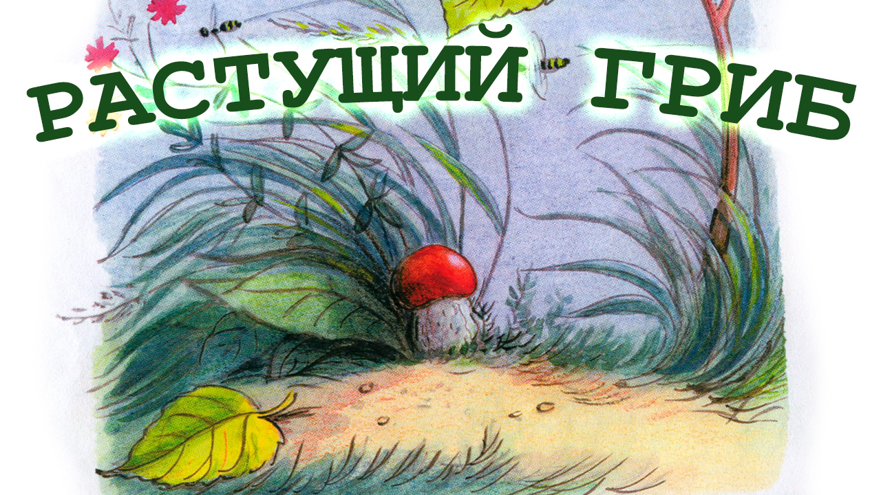 Сказка РАСТУЩИЙ ГРИБ