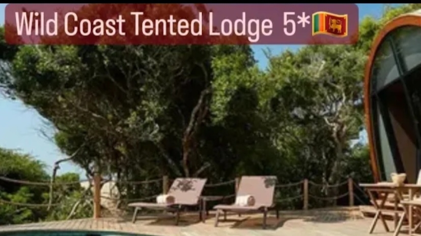 Wild Coast Tenterhooks Lodge отличный лодж рядом с парком Яла ,на все включено #шрилалка