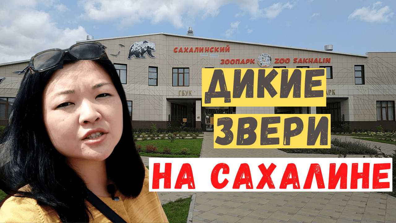 Зоопарк в Южно-Сахалинске, обзорная экскурсия, кормление орланов. Лето на Сахалине