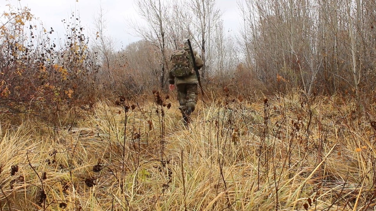 Одиночный поход по охотничьим угодьям.