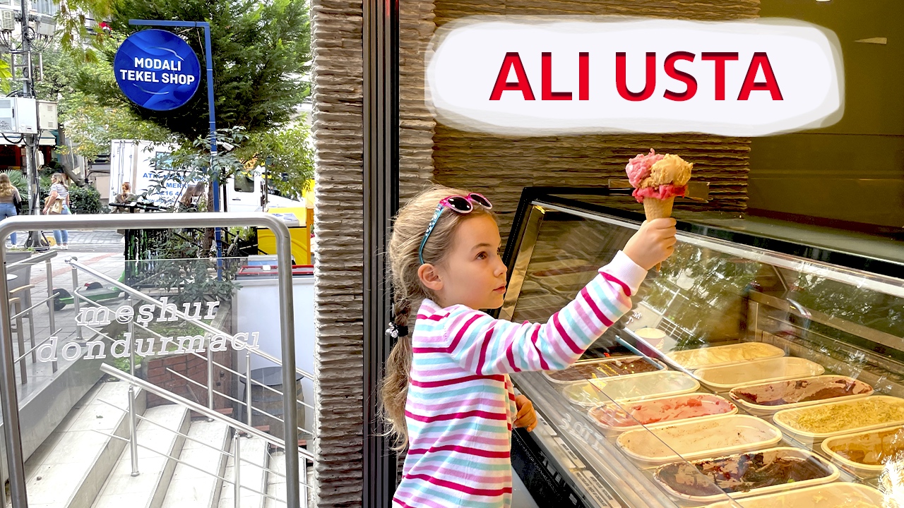 Кошкокафе в Стамбуле / ALI USTA