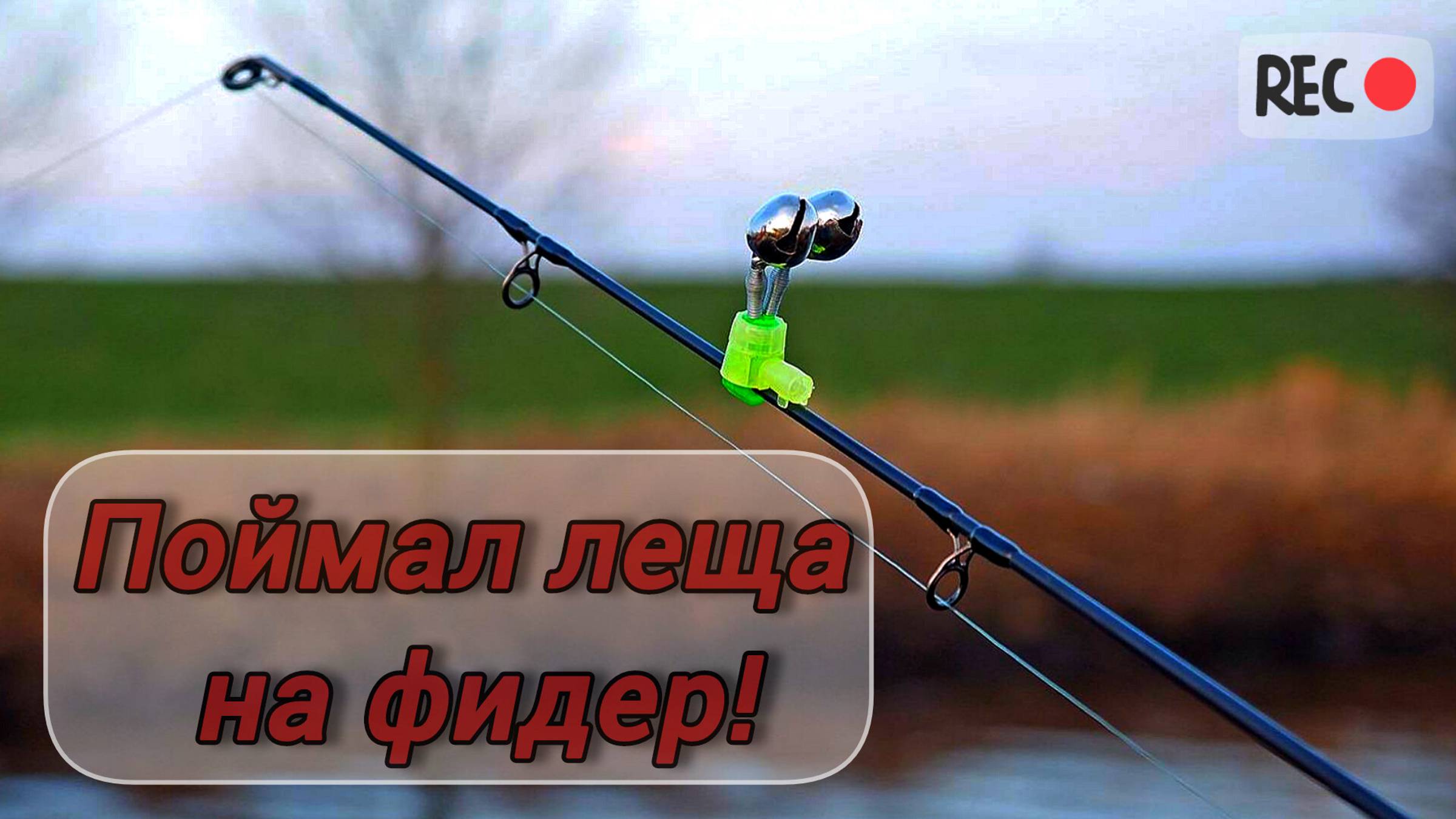 ЛОВЛЯ РАЗНОЙ РЫБЫ НА ФИДЕР! ВЕЧЕРНЯЯ РЫБАЛКА на ЛЕЩА. ЛЕТНЯЯ РЫБАЛКА на ФИДЕР на речке