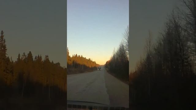 VOLVO FM ТАНОР #VOLVO #FM #ТАНОР #VOLVOFM #слава10rus #слава10Rus #бездорожья #р