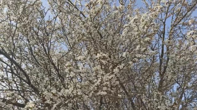 Опытный Подводник_Апрель 2022