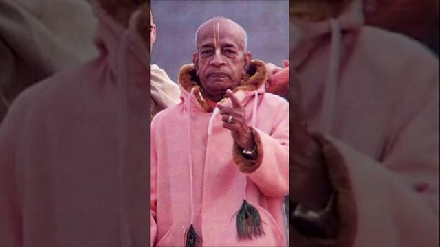 Разумный человек должен быть сознающим Кришну. Шрила Прабхупада