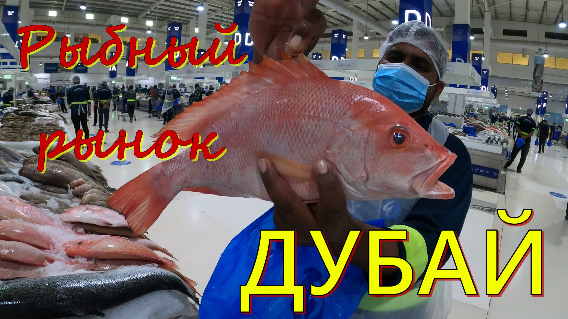 DUBAI?Рыбный рынок?Ужин на набережной?Fish Market?Dinner on the embankment?