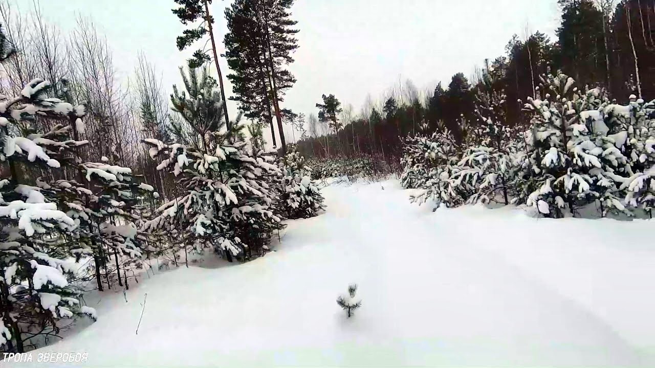 Охота на лунках в канун Нового 2022 года