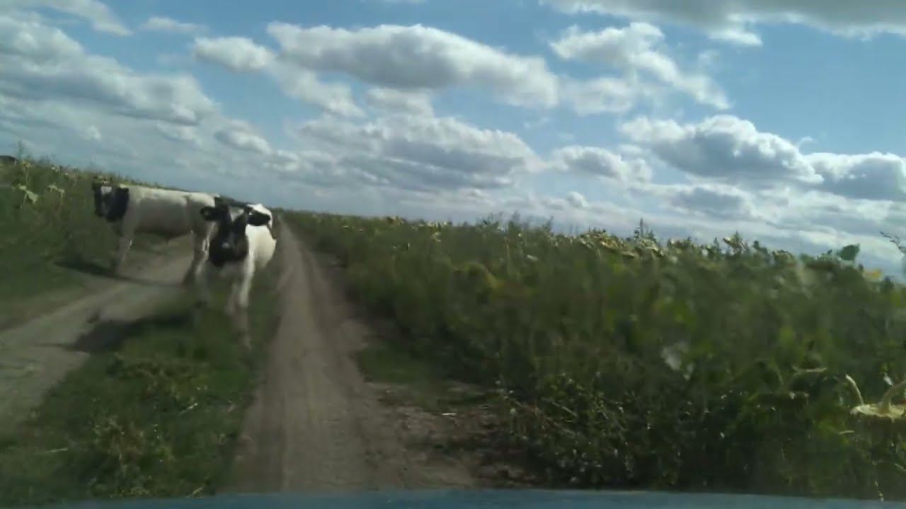 Село Розовое, Советский район.