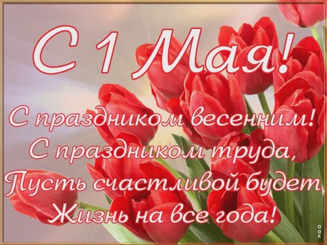 Чижова Дарья НГСр-22(9)-1