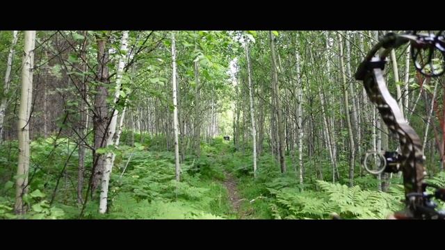 Пристрелять прицел 20 30 40 50 Едем на 3D Часть 2