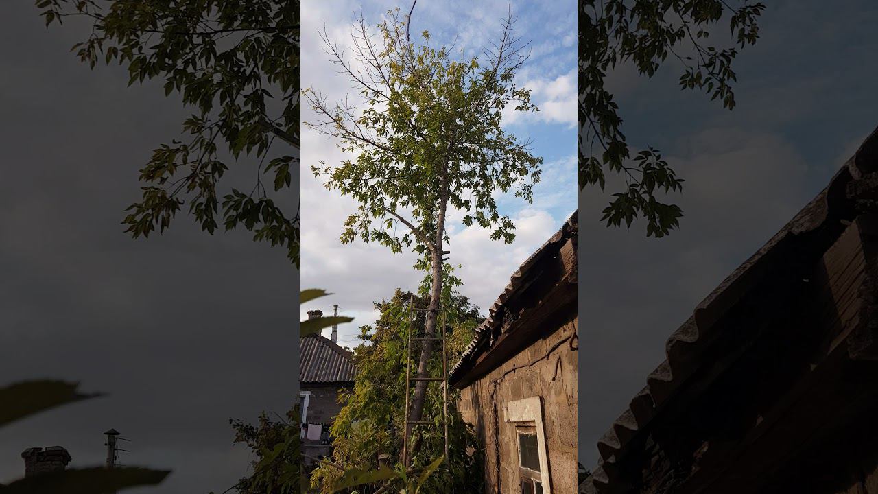 как спилить эту...???