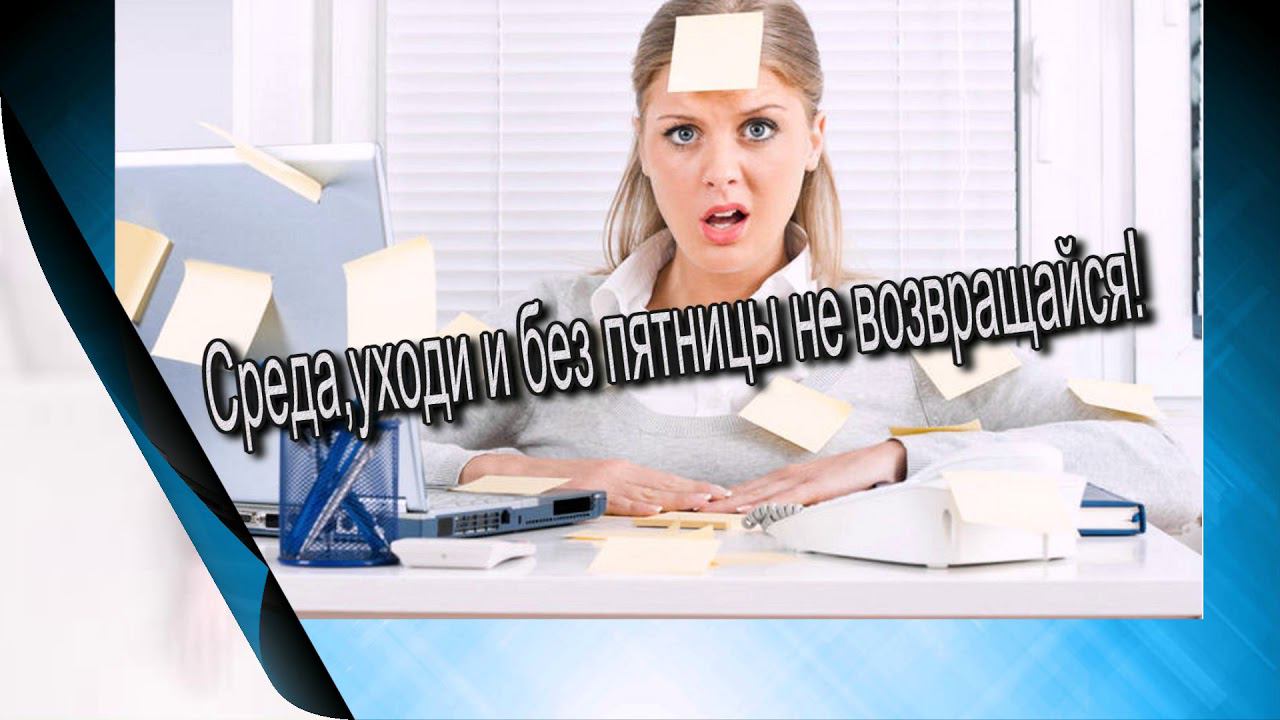 Прикол про среду♻️ [Ольга Пак]