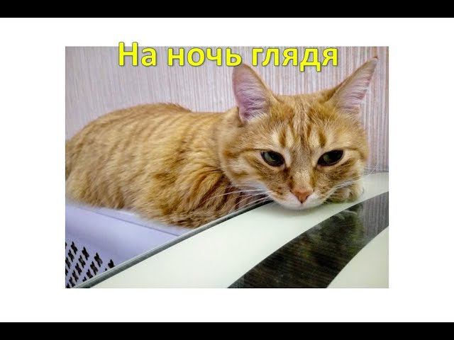 На ночь глядя