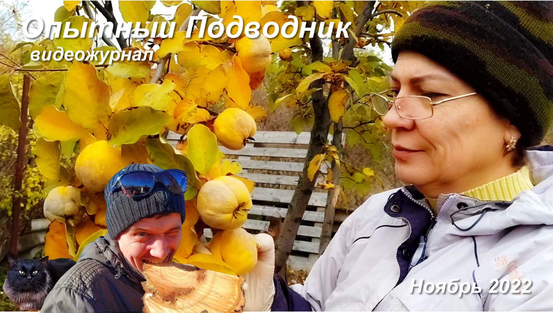 Видеожурнал_Ноябрь 2022