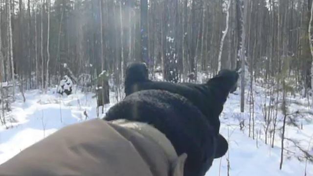 Ориентирование по Солнцу зимой. Чем лучше пользоваться