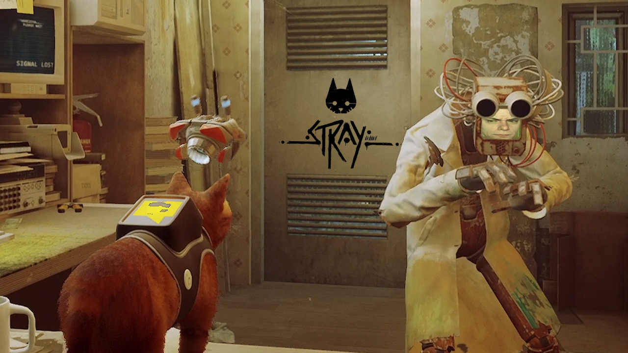 ТАК СЕБЕ ВЕНЕЦИЯ ➤ Stray #4