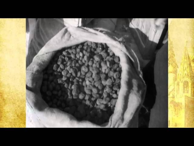 4 000 000 подарков получили фронтовики в 24-ю годовщину РККА. 1942 г. Новости дня