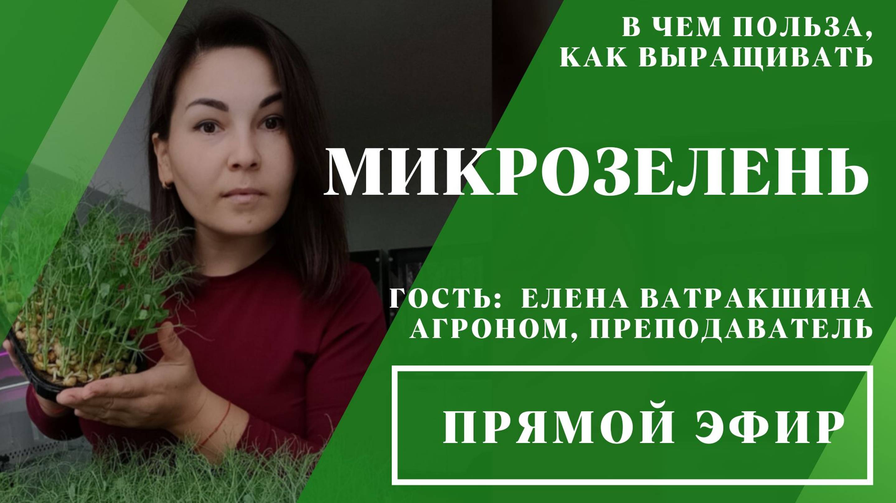 Прямой эфир «Микрозелень: в чём польза, как выращивать» // 17.05.2024