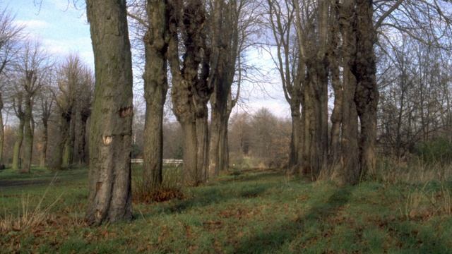 "Гимн весне" (Коренблит - Баратынский). "Экология русского языка. Синтез слова и музыки"