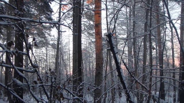 Ориентирование на местности. Солнечные блики