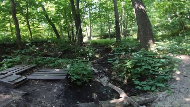 Святой источник, питающий озеро Ильмень. Борисоглебск