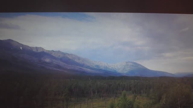 Ориентирование в лесу. Общие сведения