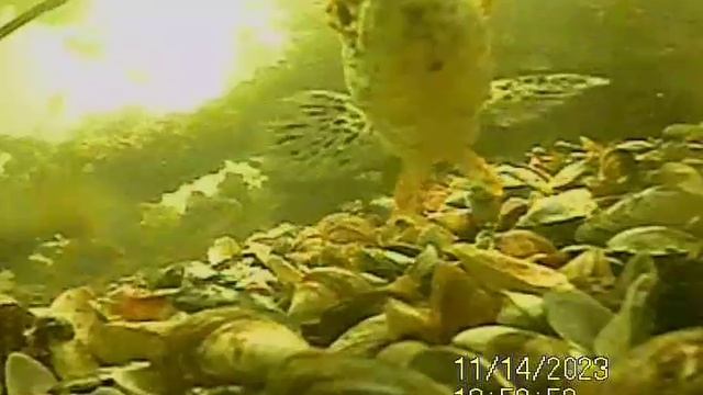 YouCut_20231114_135206260~3.mp4