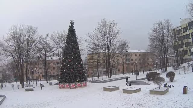 Владивосток сквер имени Суханова 26 ноября 2016