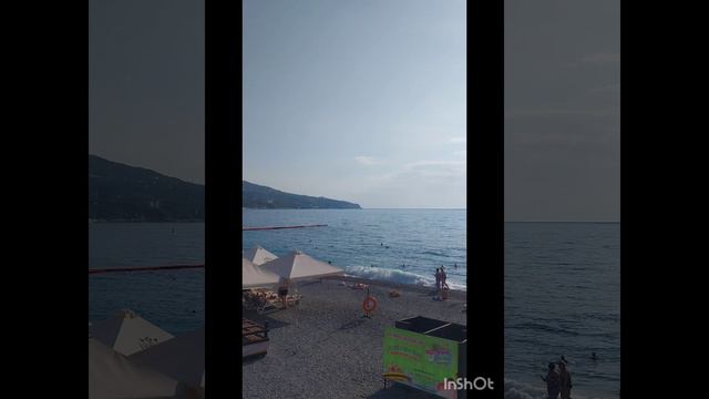 Береговое - Ялта 2024