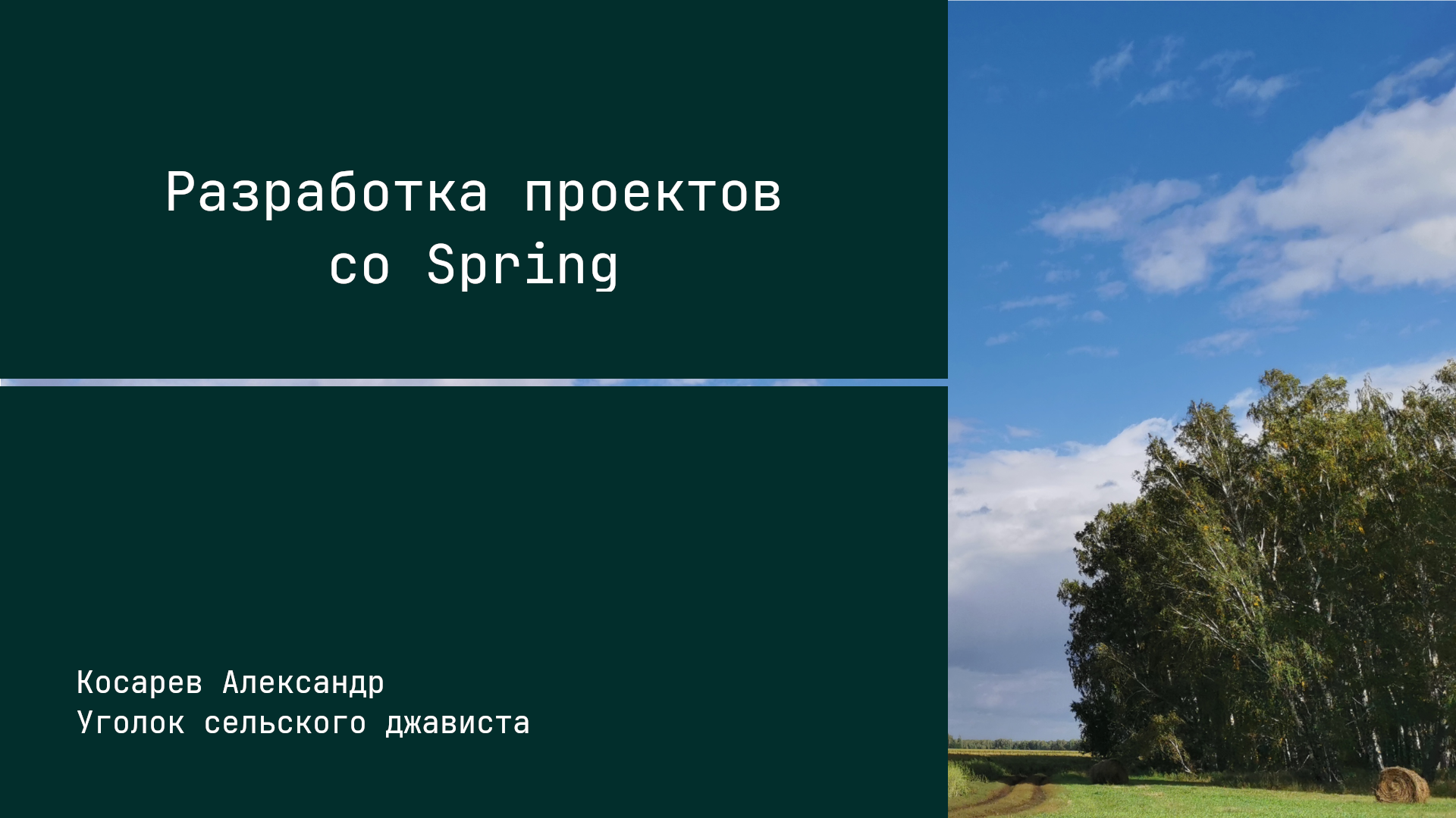 О цикле роликов - Разработка проектов со Spring