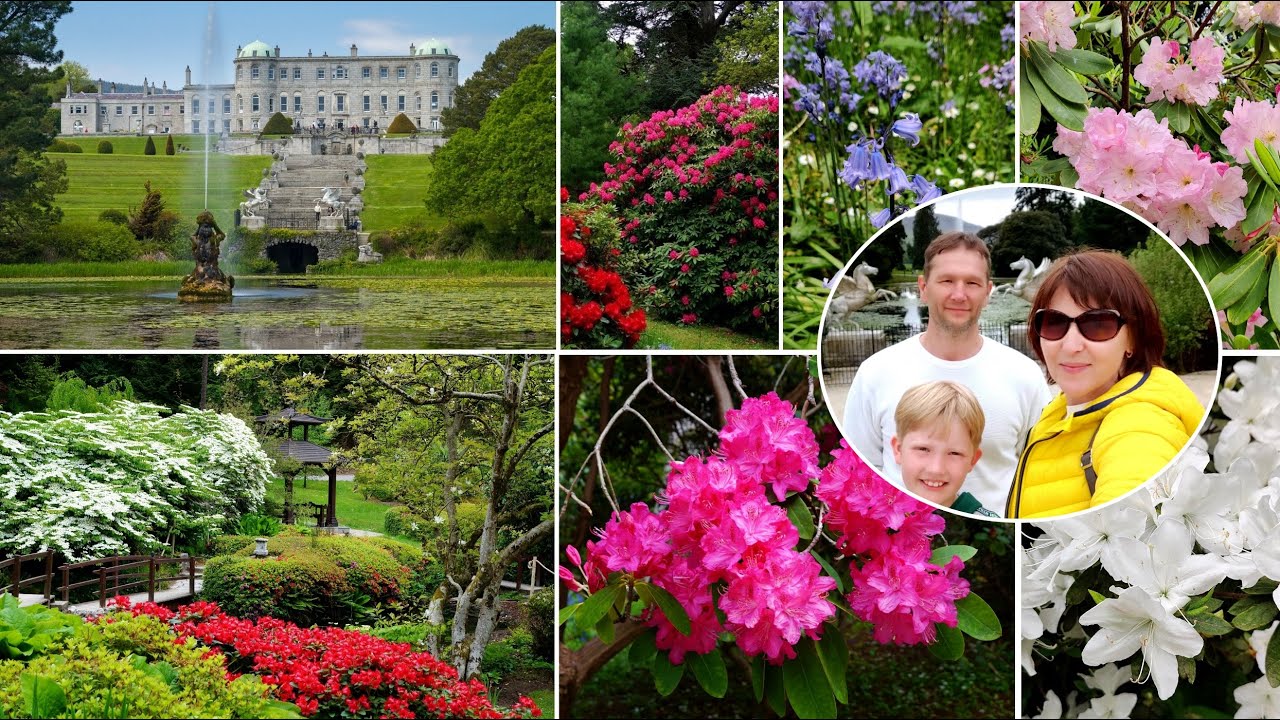 Сады Пауэрскорт / Японские сады / Рододендроны и азалии / Графство Уиклоу / Ирландия