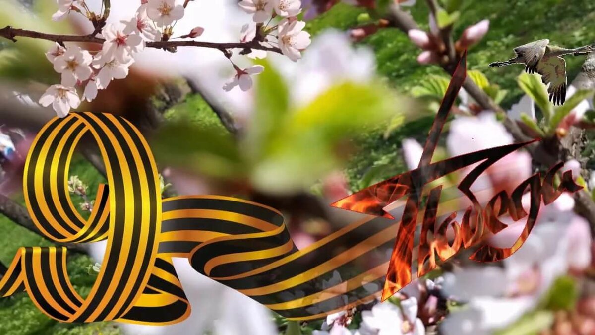 С Днём Победы !