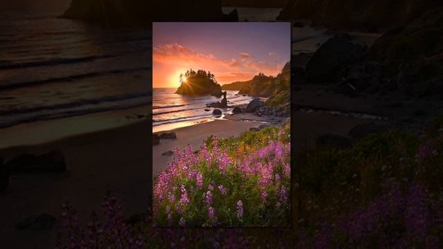 Гармония и Баланс Души и Тела ☯ .mp4