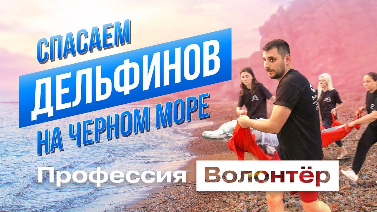 Кто спасает дельфинов в Черном Море?|Профессия волонтёр|Серия 7