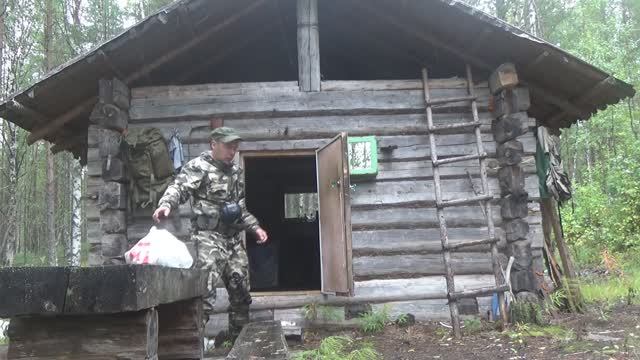 ОХОТА В ТАЙГЕ / ПОХОД НА ИЗБУ / ПРИВАДА НА МЕДВЕДЯ / ЗВЕРЬ ПОВРЕДИЛ ФОТОЛОВУШКУ / ОХОТА С ЛАЙКОЙ /