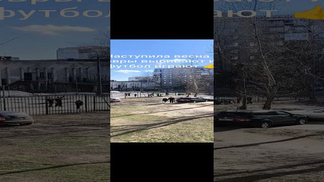 Наступила весна и ковры выбивают и в футбол играют. Нижний Новгород.