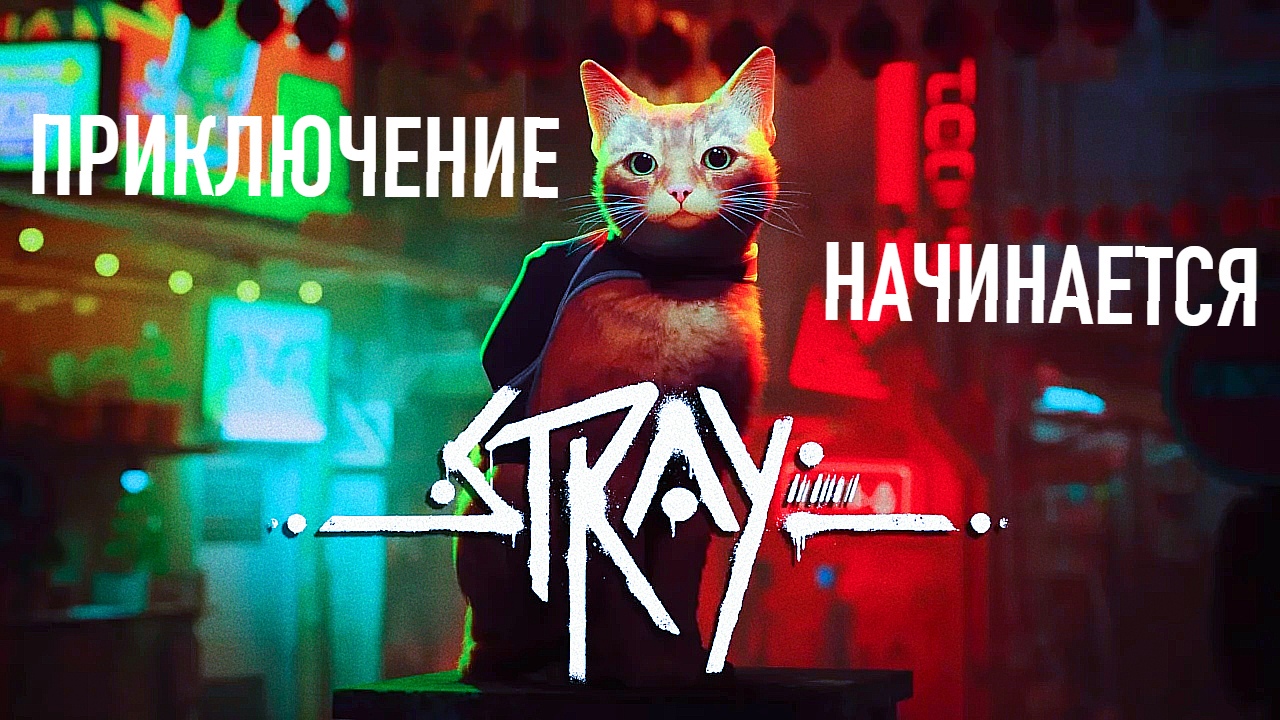 РЫЖИЙ КОТ В КИБЕРПАНКЕ ➤ Stray Прохождение #1