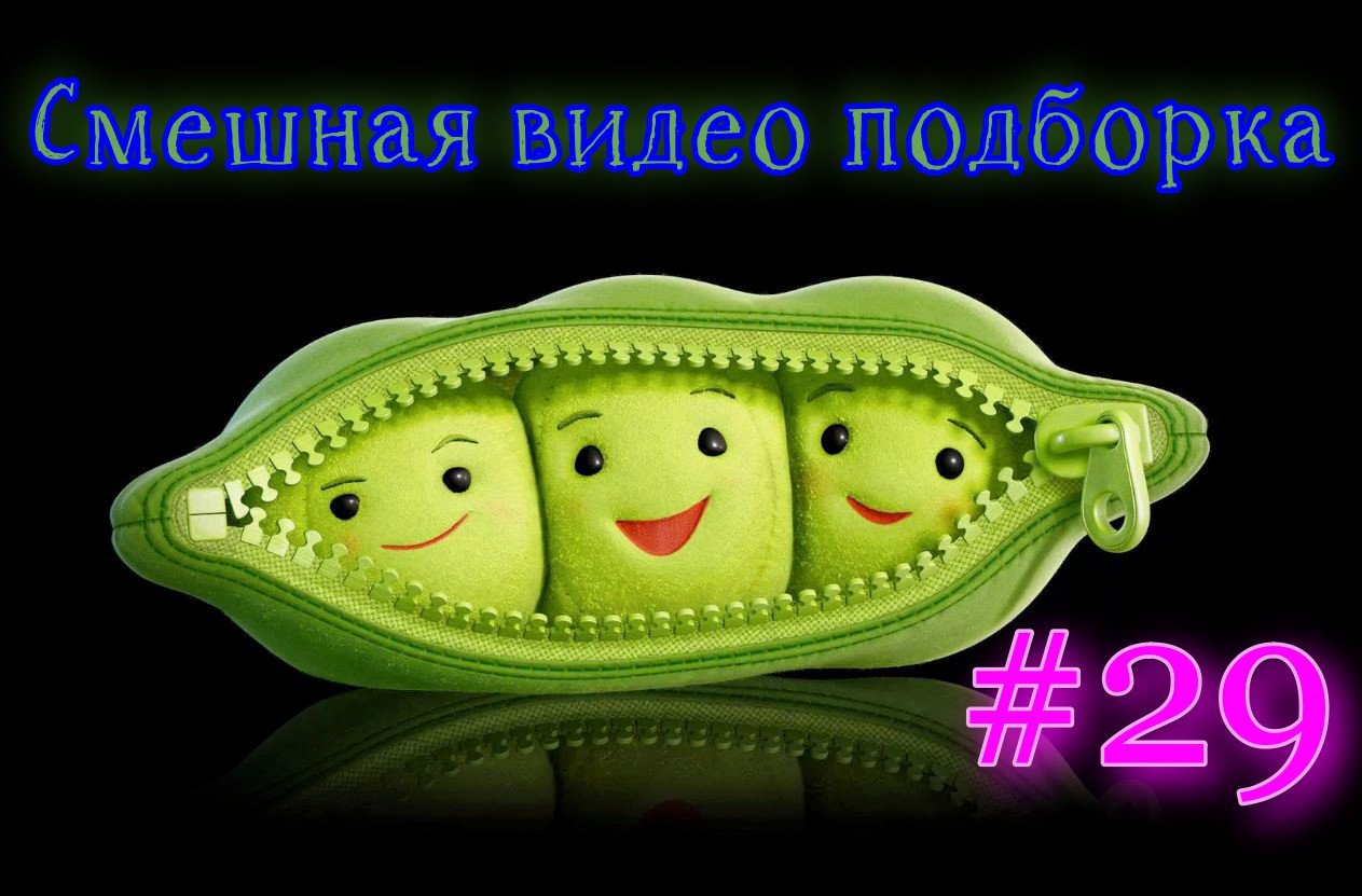 Смешная видео подборка #29