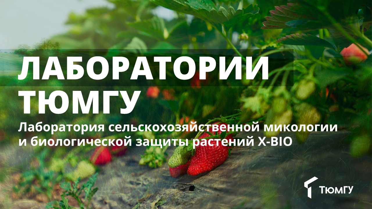 Лаборатории ТюмГУ: ферма для выращивания съедобных растений