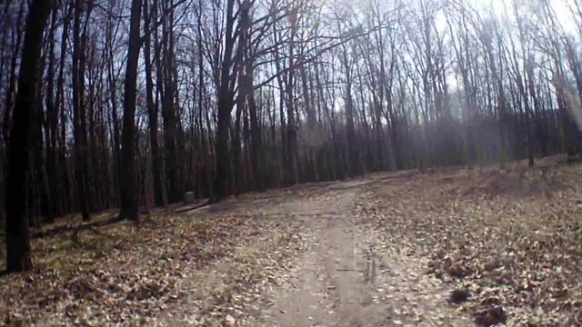 Знаменская роща